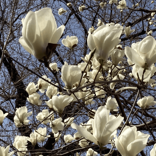 佐伯祐三アトリエ記念館の施設